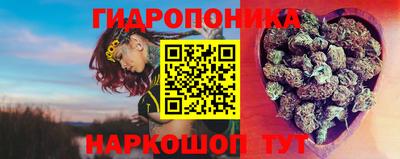 сатива Кимры