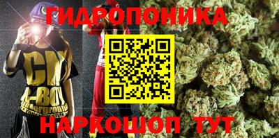 сатива Кимры
