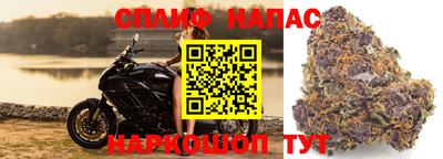 гашиш Кингисепп